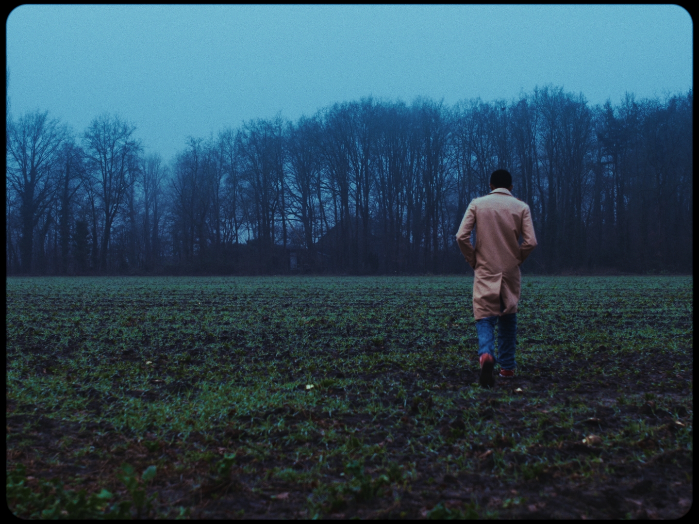 Still 2024-12-30 014152_1.10.1