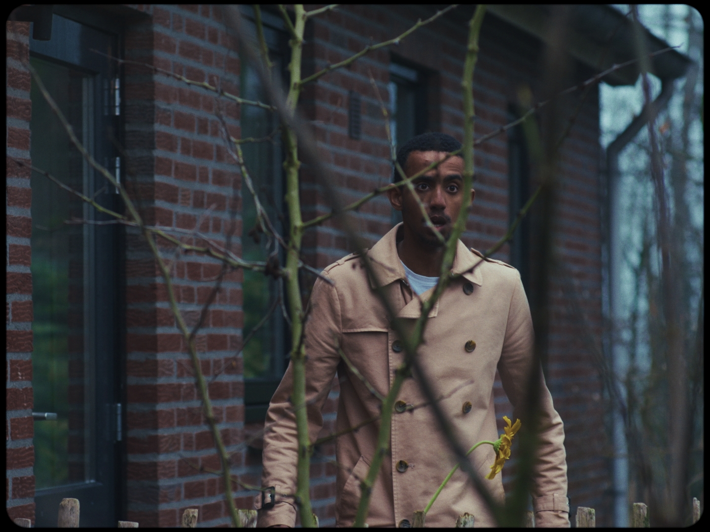 Still 2024-12-30 014152_1.13.1