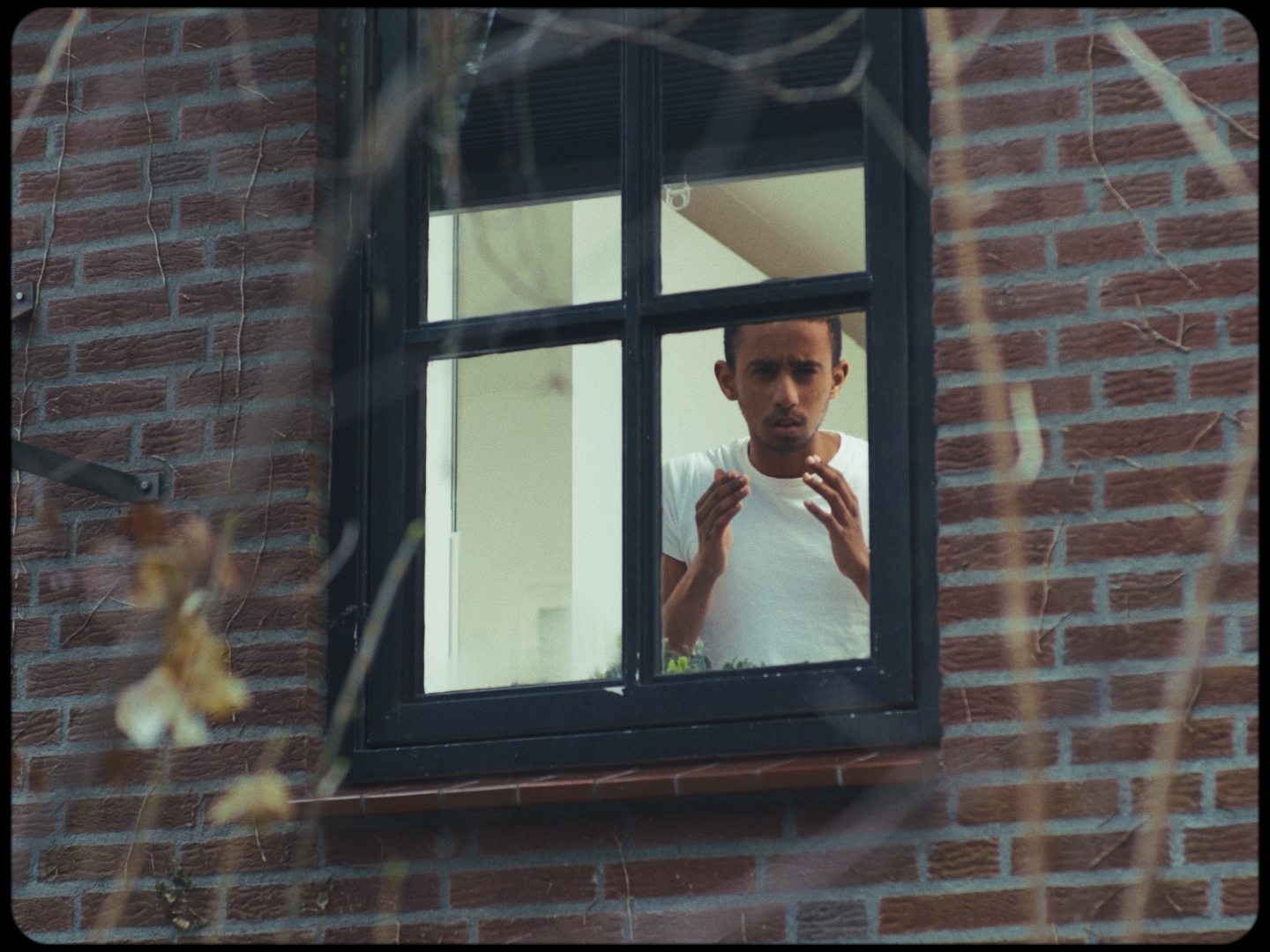 Still 2024-12-30 014152_1.4.1