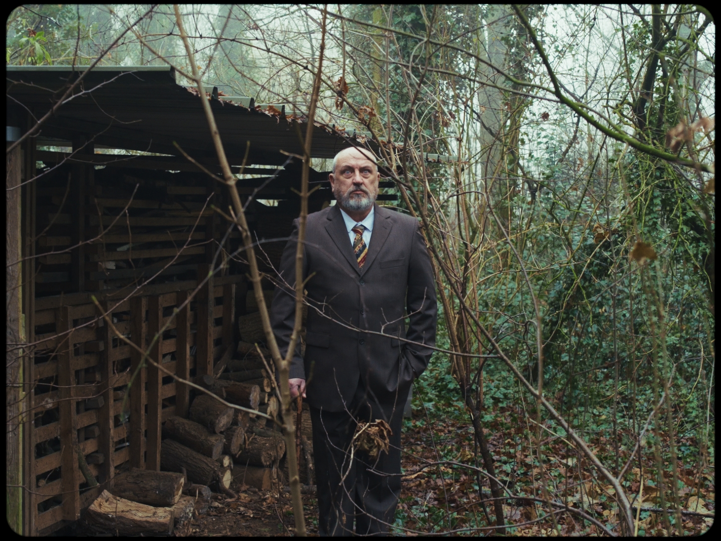 Still 2024-12-30 014152_1.6.1